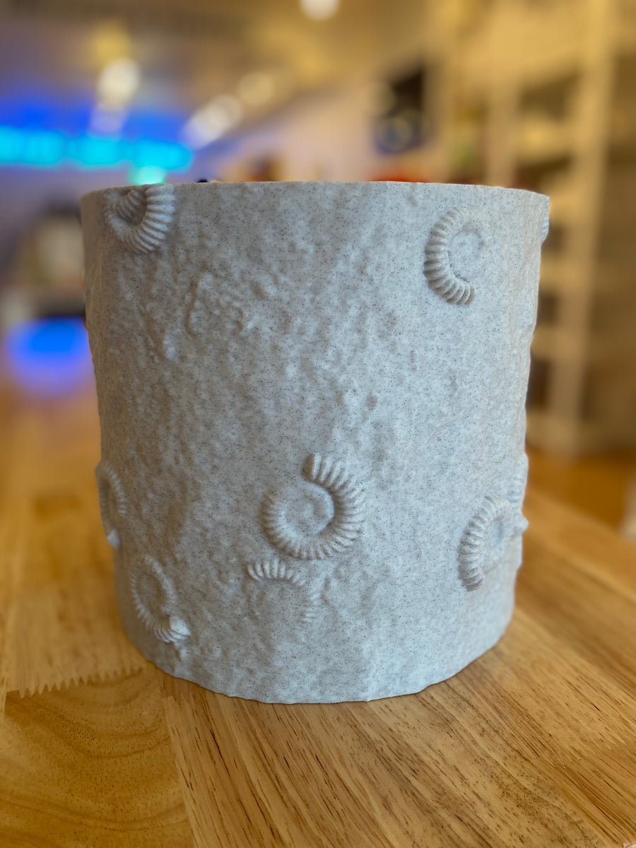 Fossil Pot