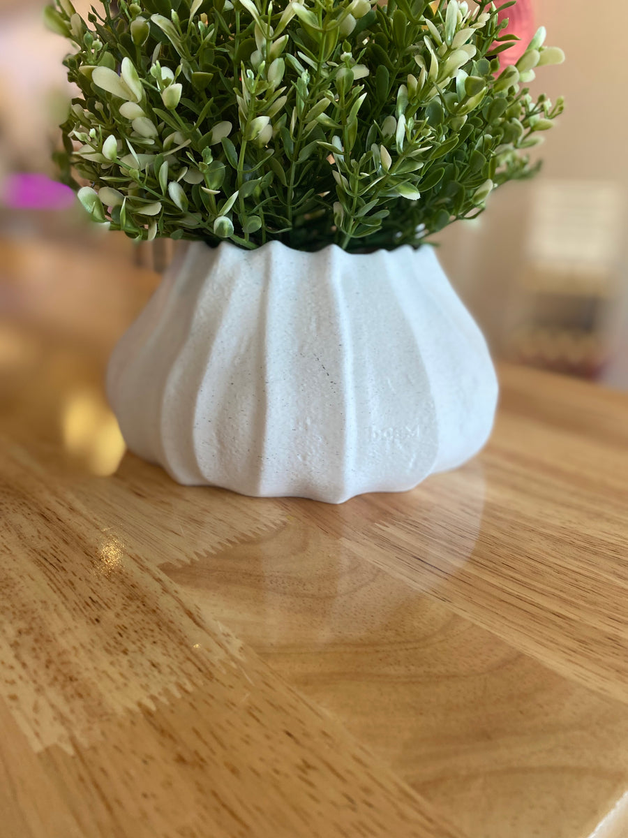 Pavlova Bowl