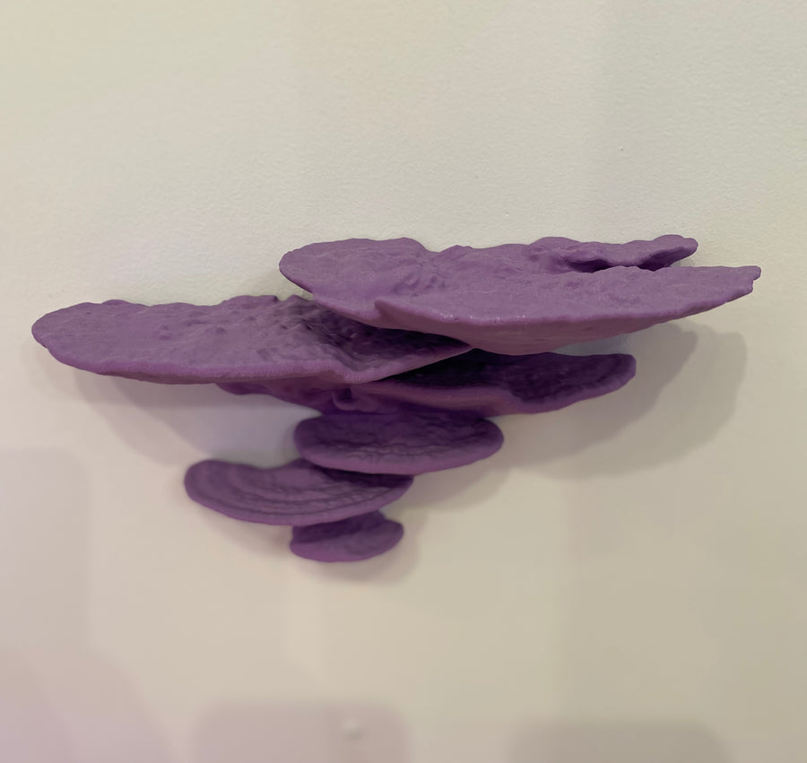 Mushroom Shelves