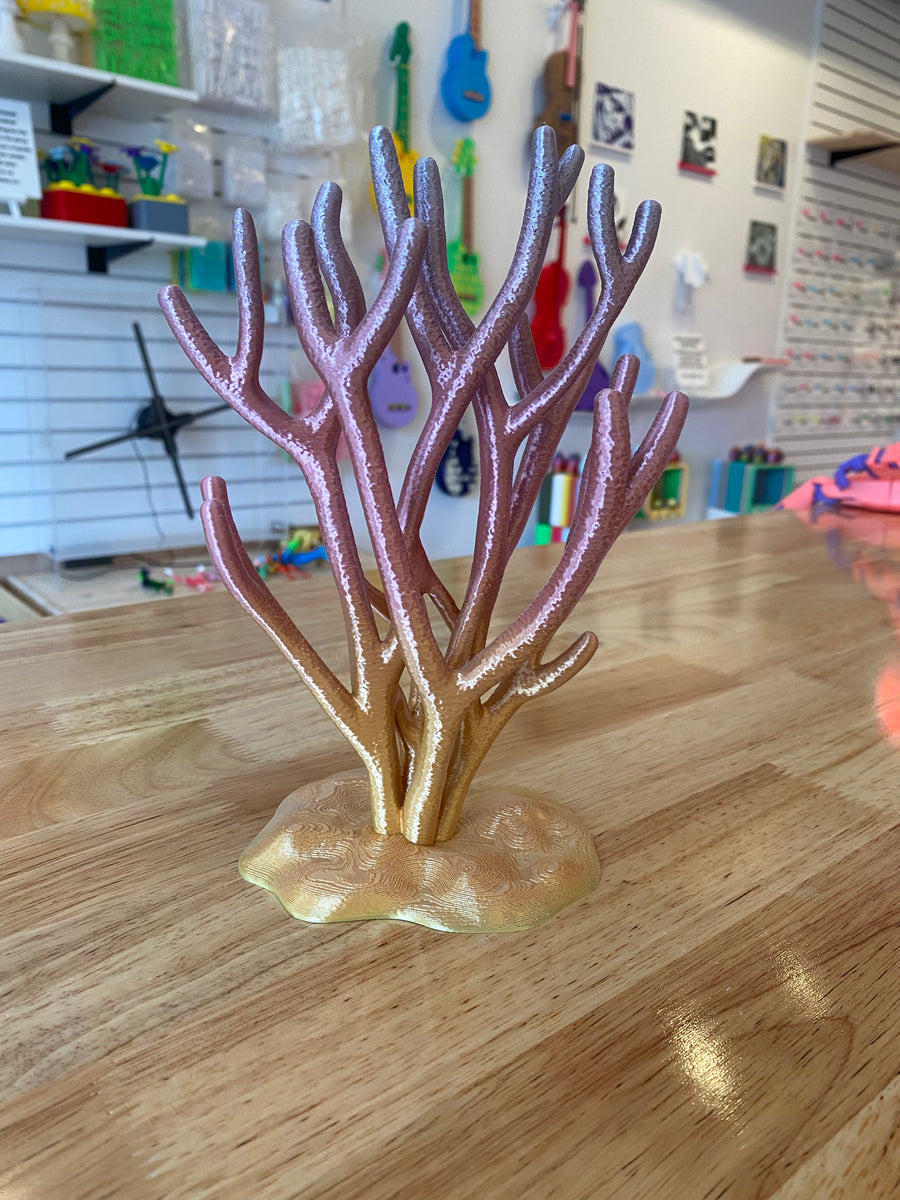 Coral Jewelry Holder