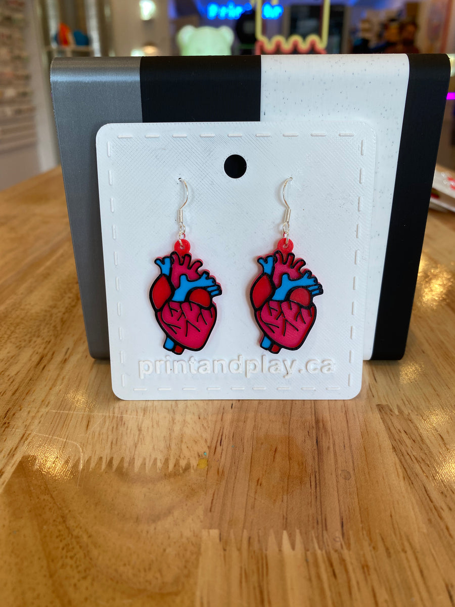 Anatomical Heart Earrings