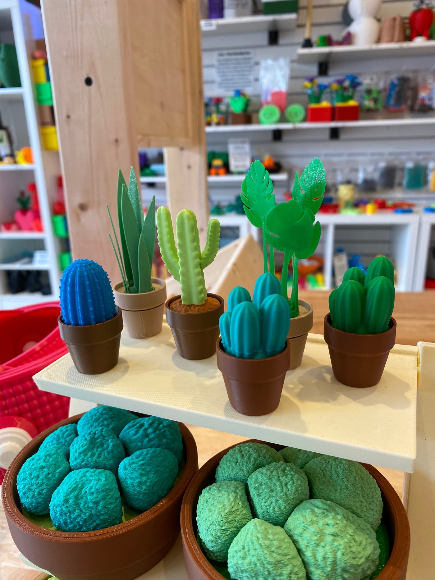 Plant, Cactus, and Succulent Clicker Fidgets