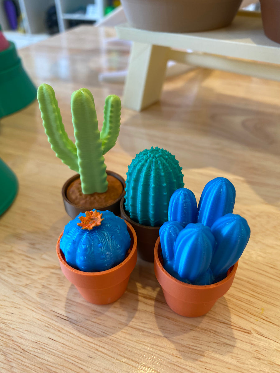 Plant and Succulent Clicker Fidgets - Print and Play