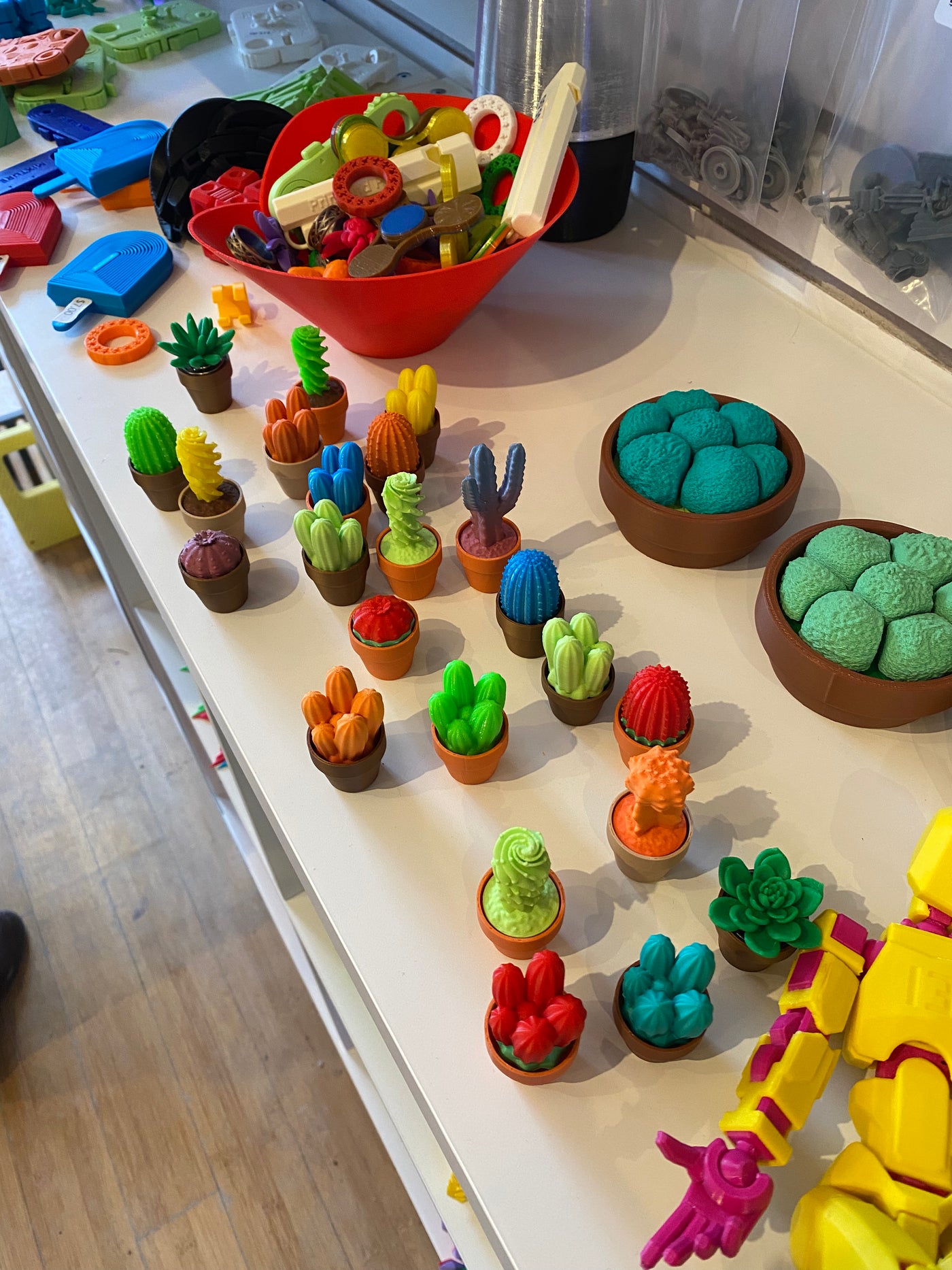 Plant, Cactus, and Succulent Clicker Fidgets