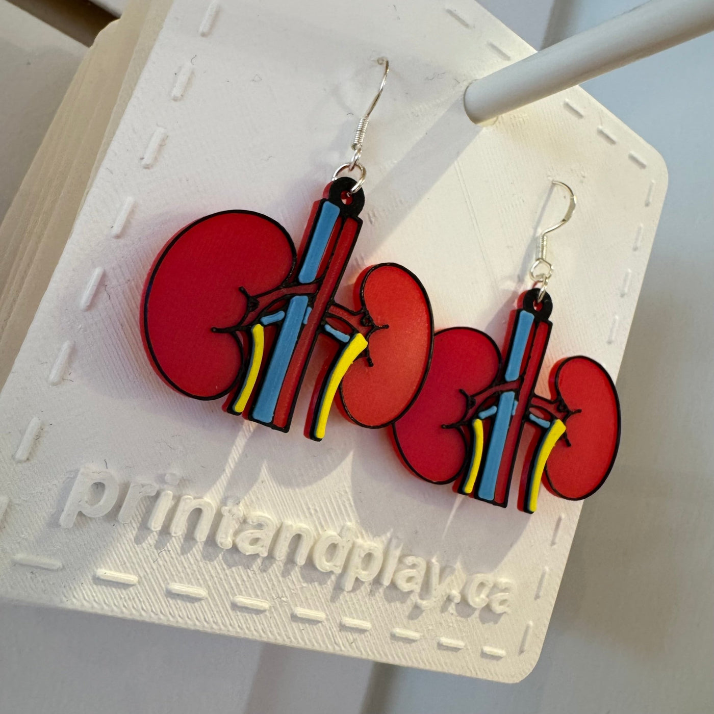 Anatomical Kidney Earrings - Print and Play
