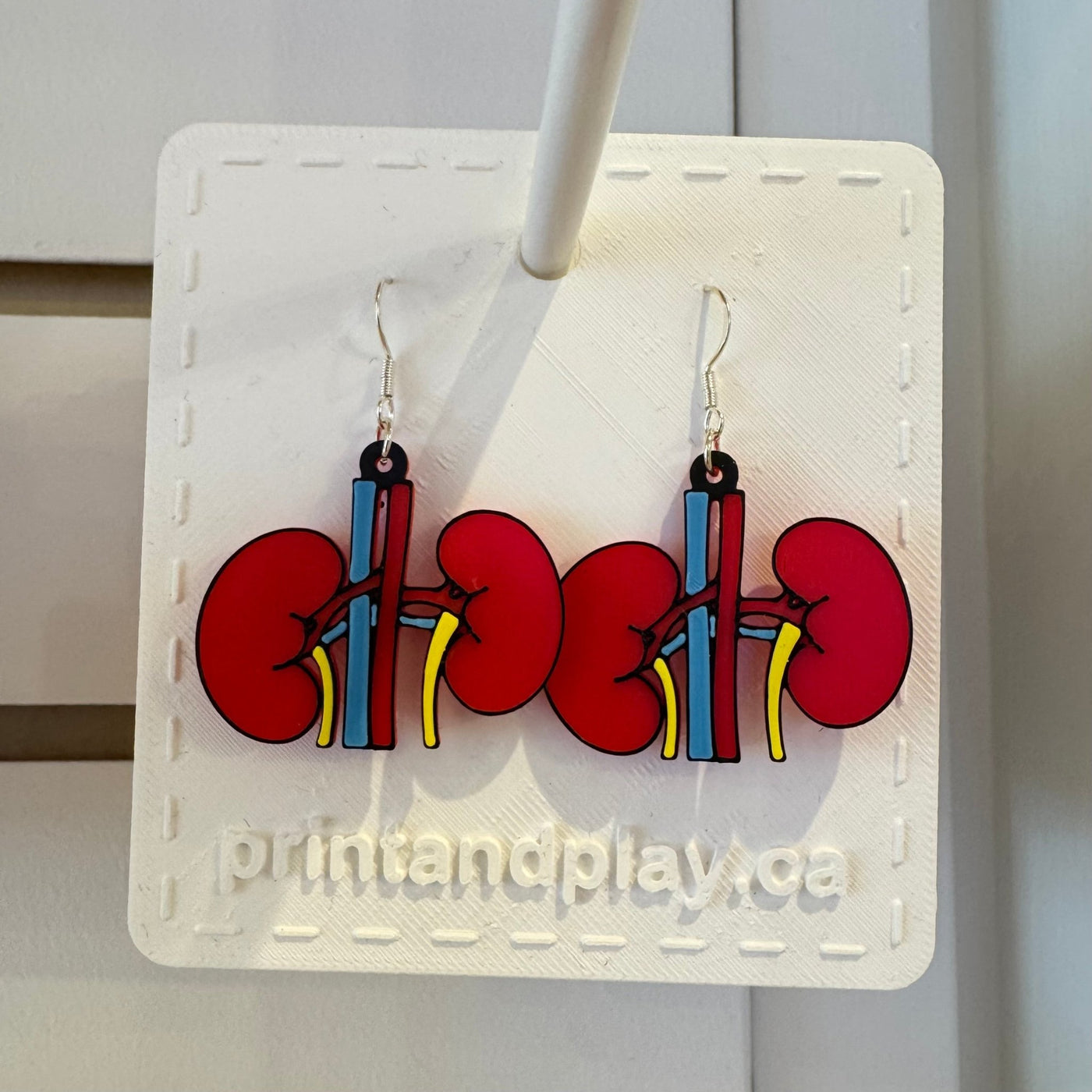 Anatomical Kidney Earrings - Print and Play