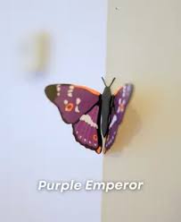 Butterfly Fridge Magnet - ForgeCore - Print and Play