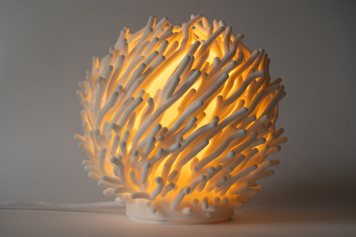 Leora Coral Sculpted Lamp - Print and Play