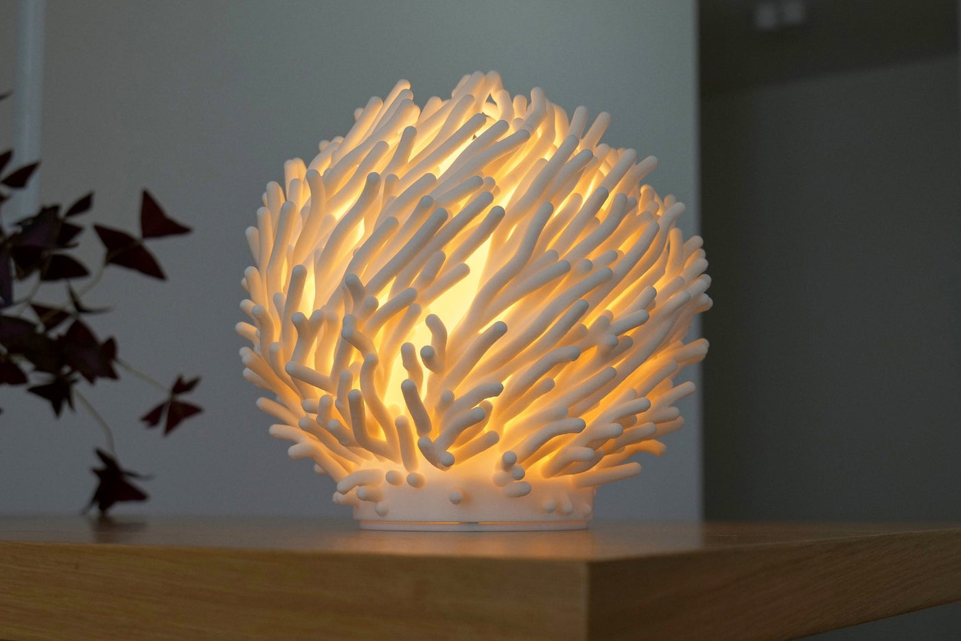 Leora Coral Sculpted Lamp - Print and Play
