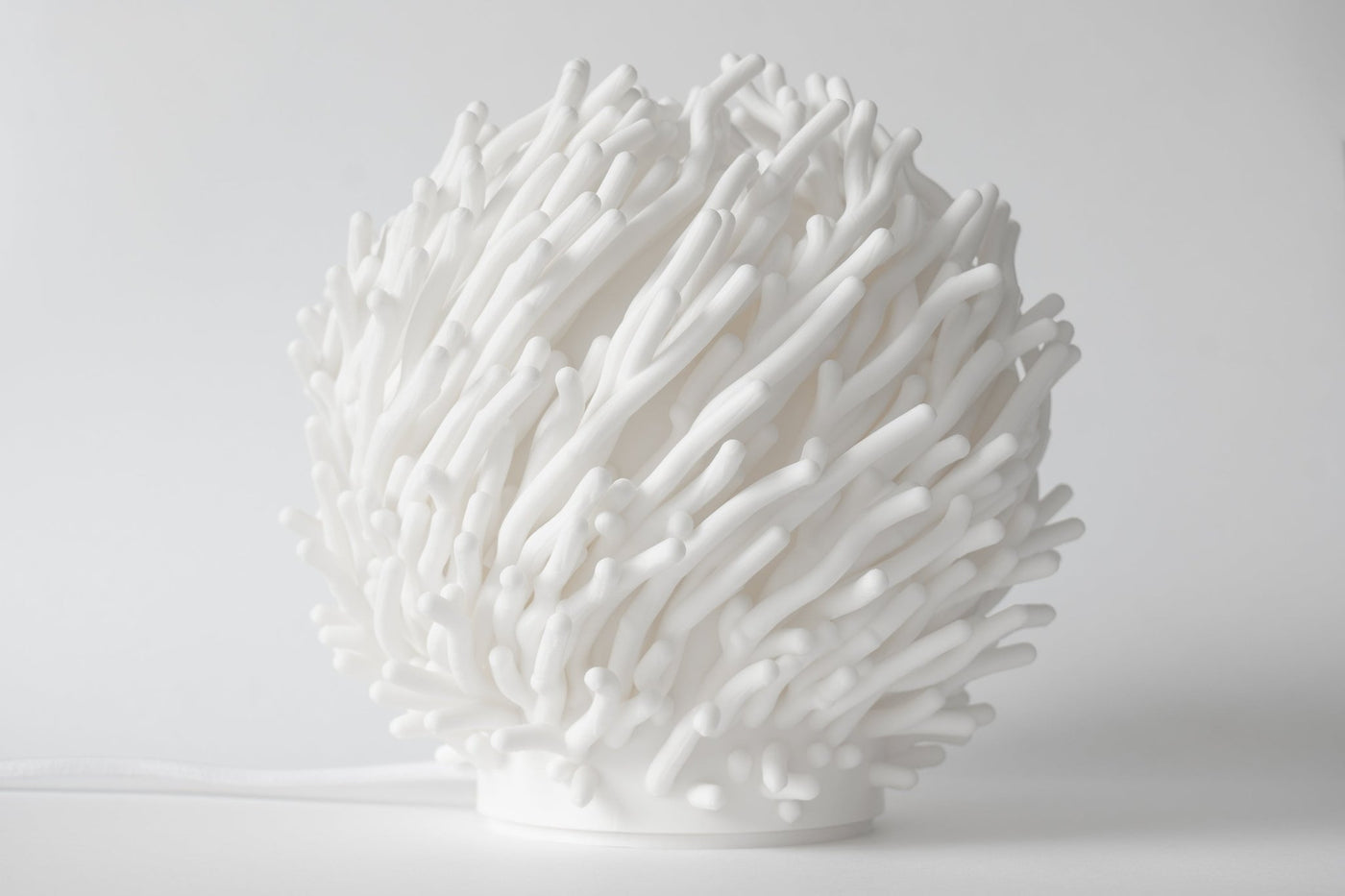 Leora Coral Sculpted Lamp - Print and Play