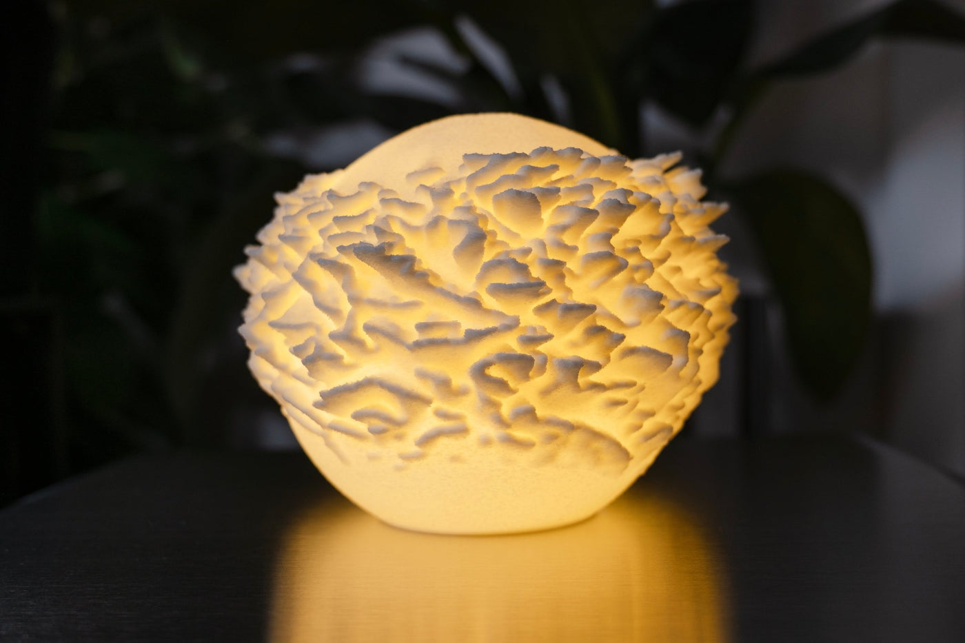 Leora Plate Coral Sculpted Mini Lamp - Print and Play