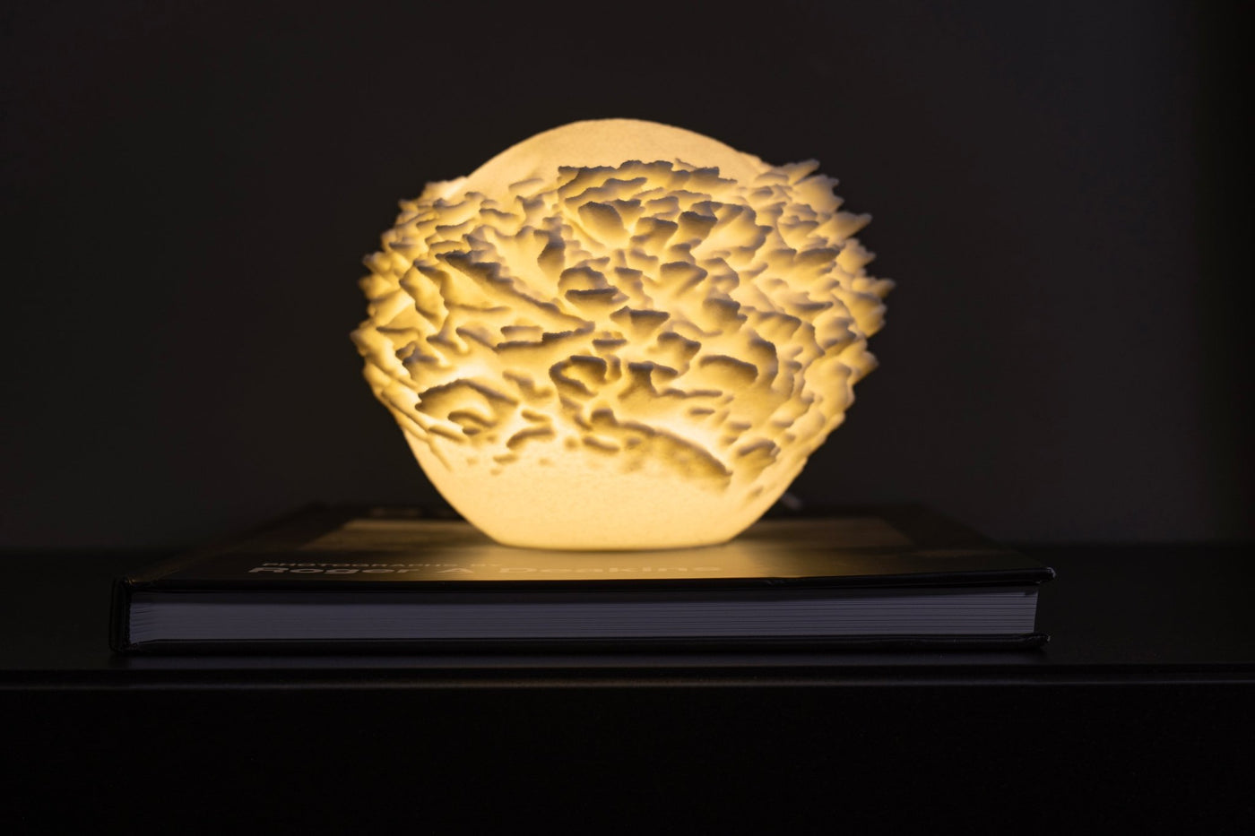 Leora Plate Coral Sculpted Mini Lamp - Print and Play