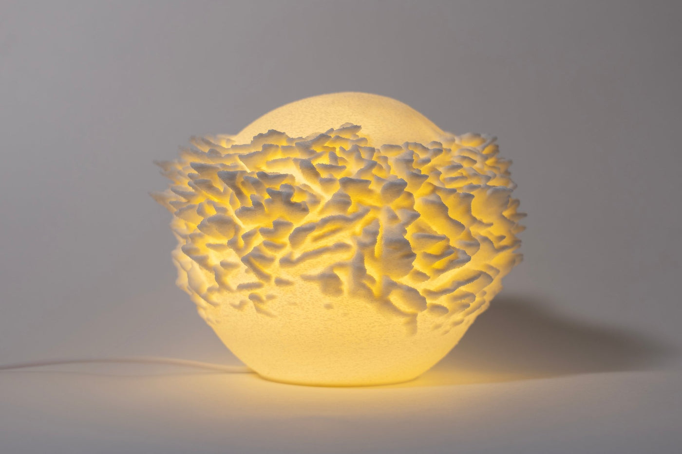 Leora Plate Coral Sculpted Mini Lamp - Print and Play