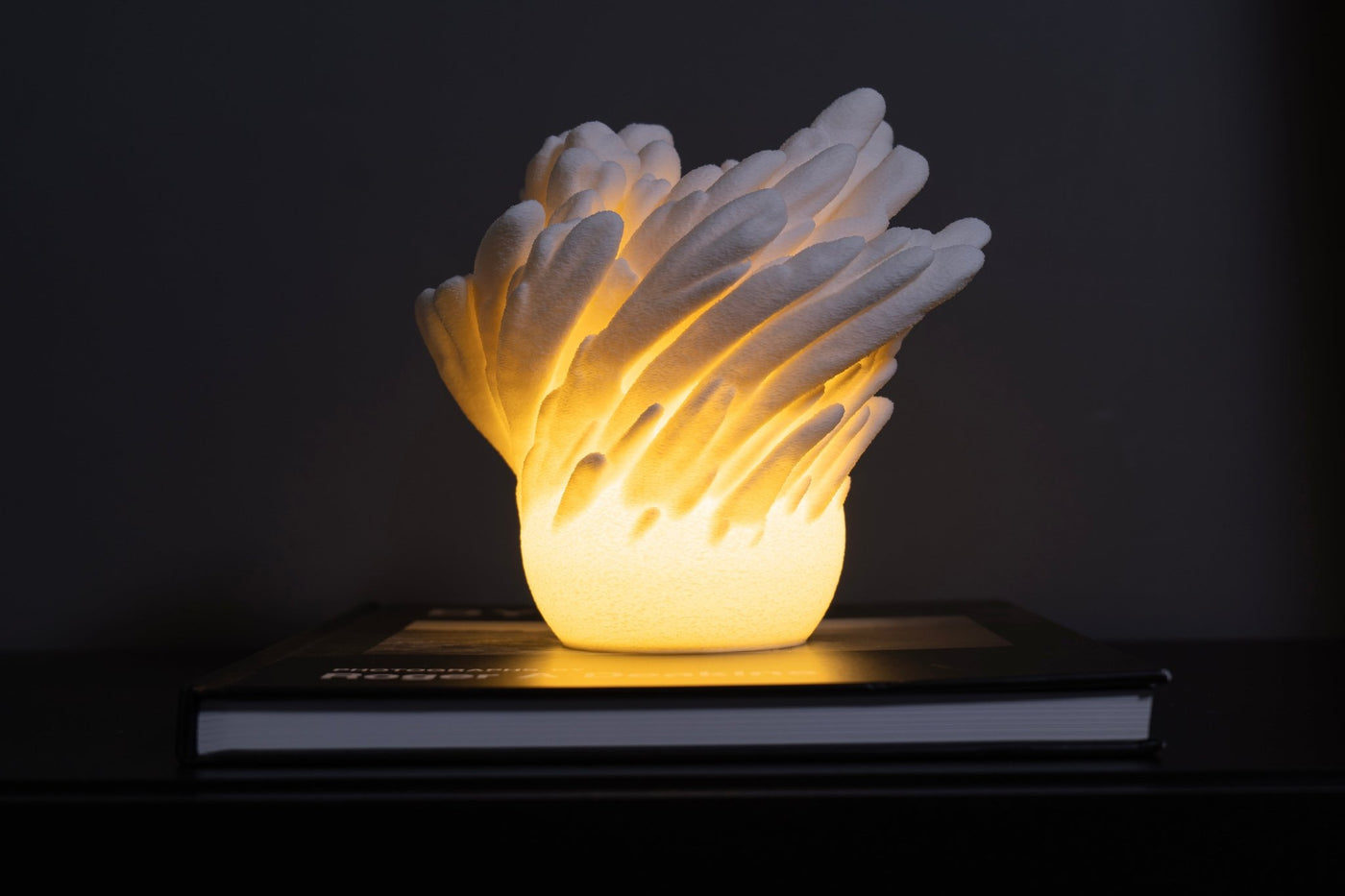 Leora Underwater Bloom Lamp - Print and Play